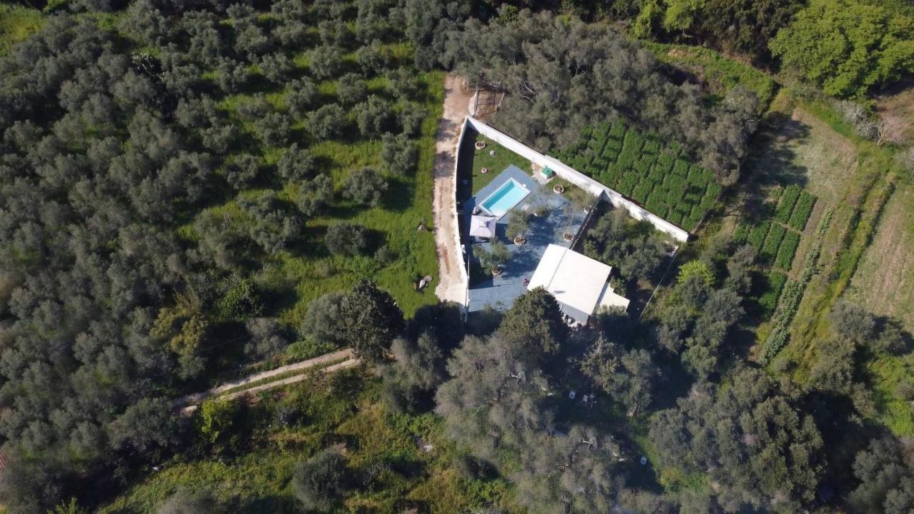 Halikounas Villa Gardiki For2 מראה חיצוני תמונה